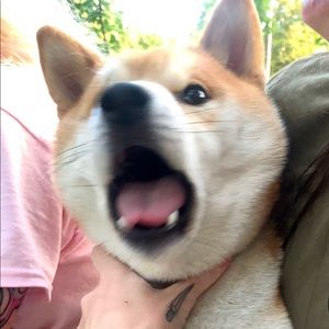 Meet your Posher, Brian